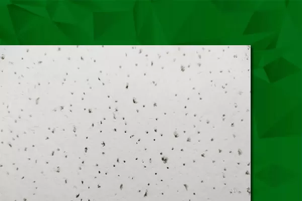 FINE FISSURED™ - Textura média