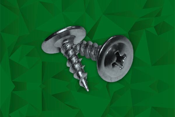 Parafuso Lentilha PA