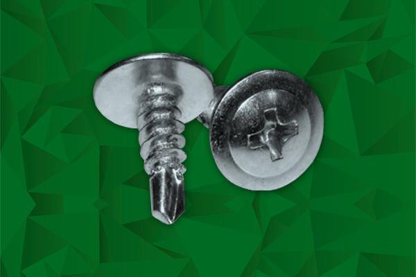 Parafuso Lentilha PB