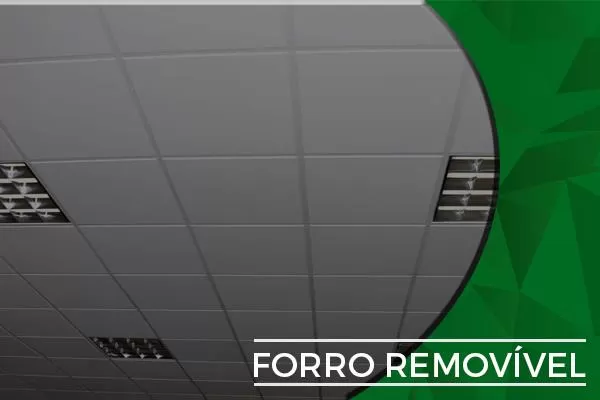 Forro Removivel